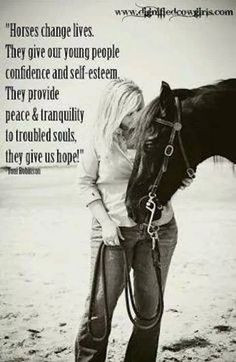 Horse quote, inspirational quotation, horse photography with quote ...