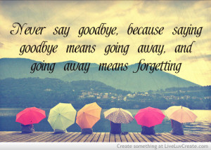 Never Say Goodbye 2