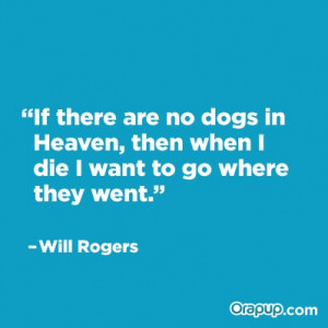 We're pretty sure all dogs go to heaven, but he makes a good point :)