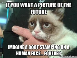 If This Grumpy Cat Could Talk…