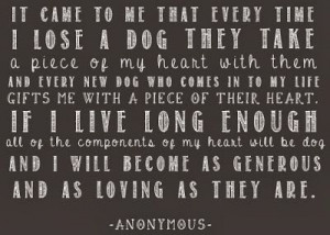 ... dog can teach humans to be as generous and loving and a dog what a