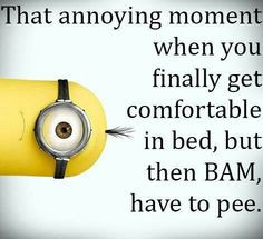 ... you finally get comfortable in bed, but then bam, have to pee. More
