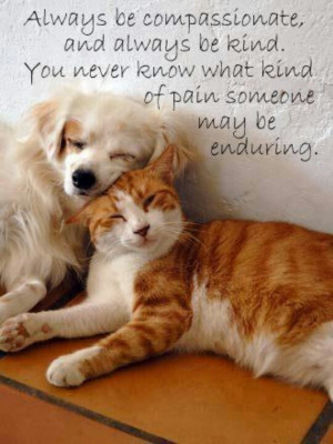 ... , Sweets Animal, Be Kind, Animal Friends, Cuddling Buddy, Kind Matter