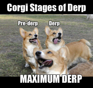 funny cute corgi derp frogman caption