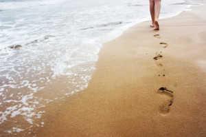 close-up of frangipani flowers.