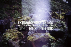 Extraordinary things are always hiding in places people never think ...
