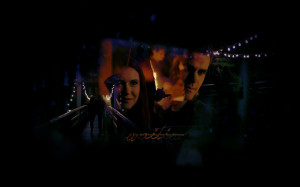 The Vampire Diaries TV Show Stefan & Elena