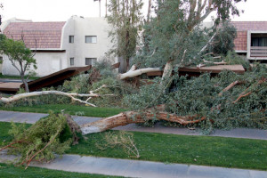 Extremely High Winds Wreak