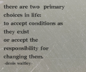 ... exist or accept the responsibility for changing them. - Denis Waitley