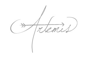 Artemis Tag System on Behance