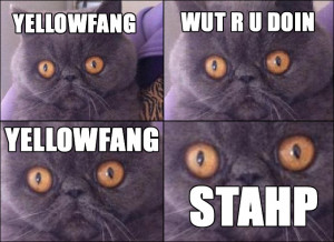 ... big fan of Yellowfang, Firestar, Bramblestar, Tallstar and Crookedstar