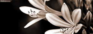 Black and White Flower Facebook Cover