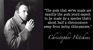 Christopher Hitchens Quotes