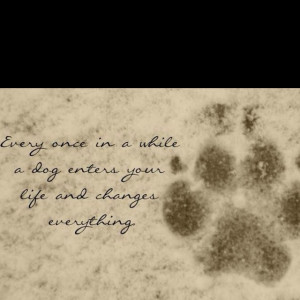 29 Of The Most Beautiful #Dog #Death #Quotes That Will Bring Tears To ...