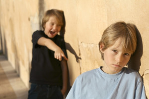 Bullying is a subtype of aggressive behaviour in which the perpetrator ...