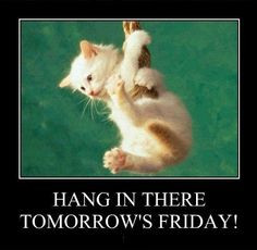 Friday quotes cute quote friday kitten days of the week thursday ...