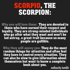 Scorpio, the scorpion Zodiac City