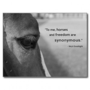Horse Quotes Cards & More
