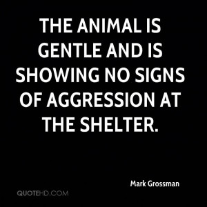 ... And Is Showing No Sings Of Aggression At The Shelter - Animal Quote