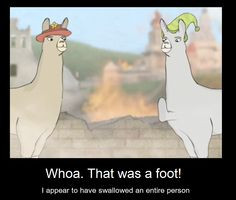carl the llama - Google Search More