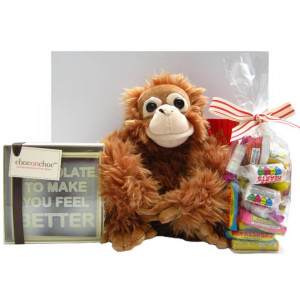 Home Get Well Soon Gifts Cheer Monkey Box