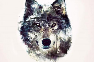 wolf art black wild animal pack the wolves white quotes timber lone ...