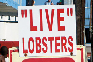 Scare quotes read 