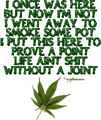 Marijuana, #ganja #cannabis #kush #bud #smoke #Buddha #zigzag #bongs ...
