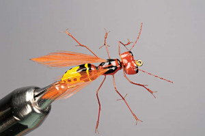Wasp fishing fly pattern