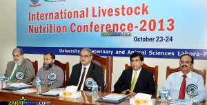 congress 2013 international livestock dairy poultry congress 2013