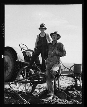 Picture, Dust Bowl, Workwear, Dustbowl Vision