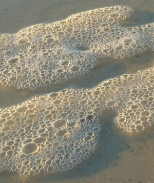 Sea Foam making bubbles at Pass-A-Grille on #StPete Beach, via ...