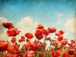 Fast Delivery: Ships in 5 working days for £9.99 within the UK!