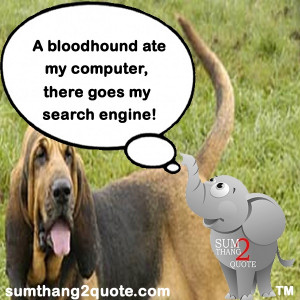 quoteoftheday #quote #funny #humor #dog #bloodhound #computer #search ...