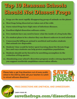 ncert class 3 looking around download