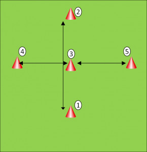Speed and Agility Cone Drills
