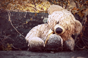 Sad Teddy Bear Quotes A sad story