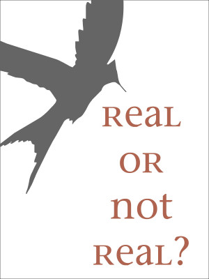 Real or Not Real?' Hunger Games Printable!!