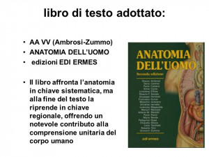 libro di testo adottato: AA VV (Ambrosi-Zummo) ANATOMIA DELLUOMO ...
