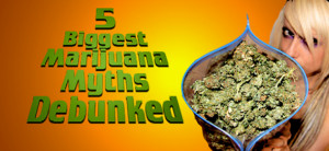 The five most over hyped half-truths about marijuana…