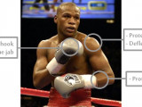 Top 30 Greatest Floyd Mayweather Jr Quotes