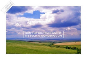Wonderful life quote