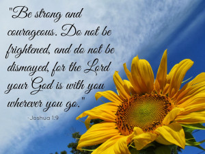 Subscribe Cookbooks Newsletters Digital Editions Customer Care