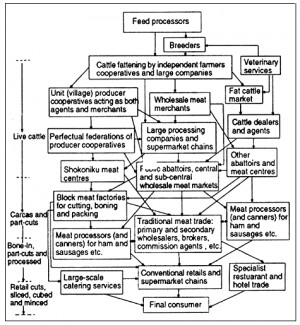 Figure 6.3 The highdegree ofspecialisation injapanese cattleand beef ...