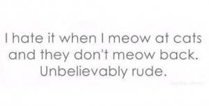 ... it when I meow at cats and they don’t meow back. Unbelievably rude
