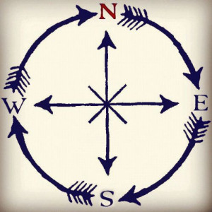 like the idea of the arrows going around the compass, to me it ...