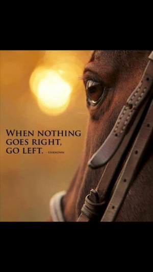 Horses quotes
