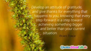 Swinespi Funny Pictures