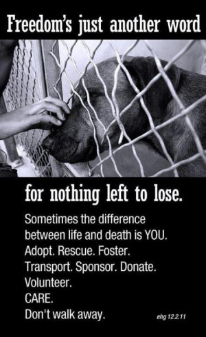 ... . It may be the difference between life and death for a shelter dog