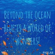 quotes the ocean more quote 1